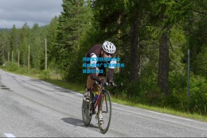 热刺官宣欧冠新合作 蚂蚁森林广告亮相球衣背部引关注