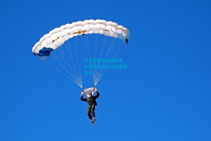 电竞世界杯震撼开赛 全球顶尖战队争夺荣耀之冠