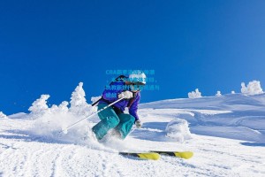 CBA新季涌动少帅潮，本土少帅集体掌印，执教新世代直面机遇与挑战