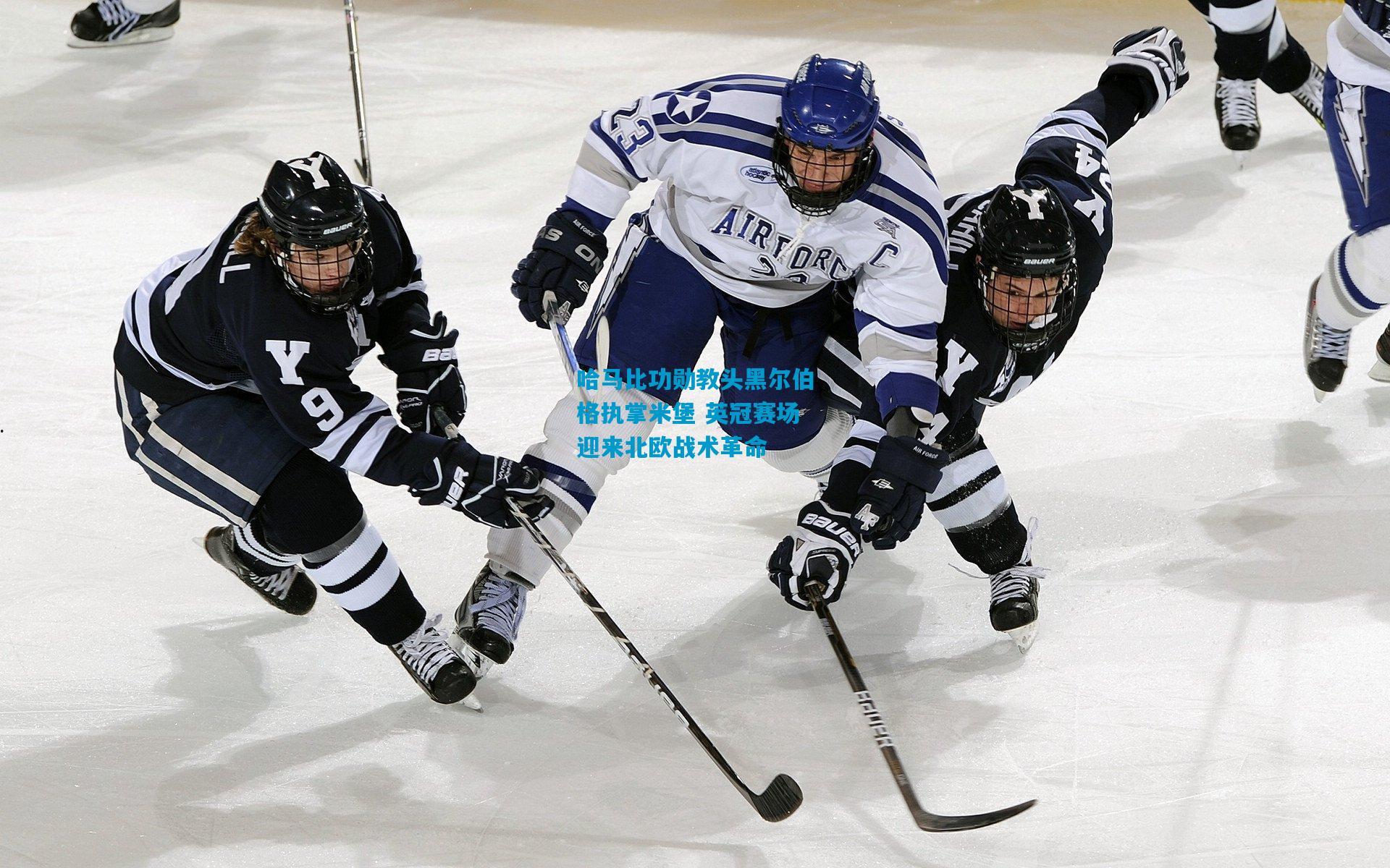 哈马比功勋教头黑尔伯格执掌米堡 英冠赛场迎来北欧战术革命