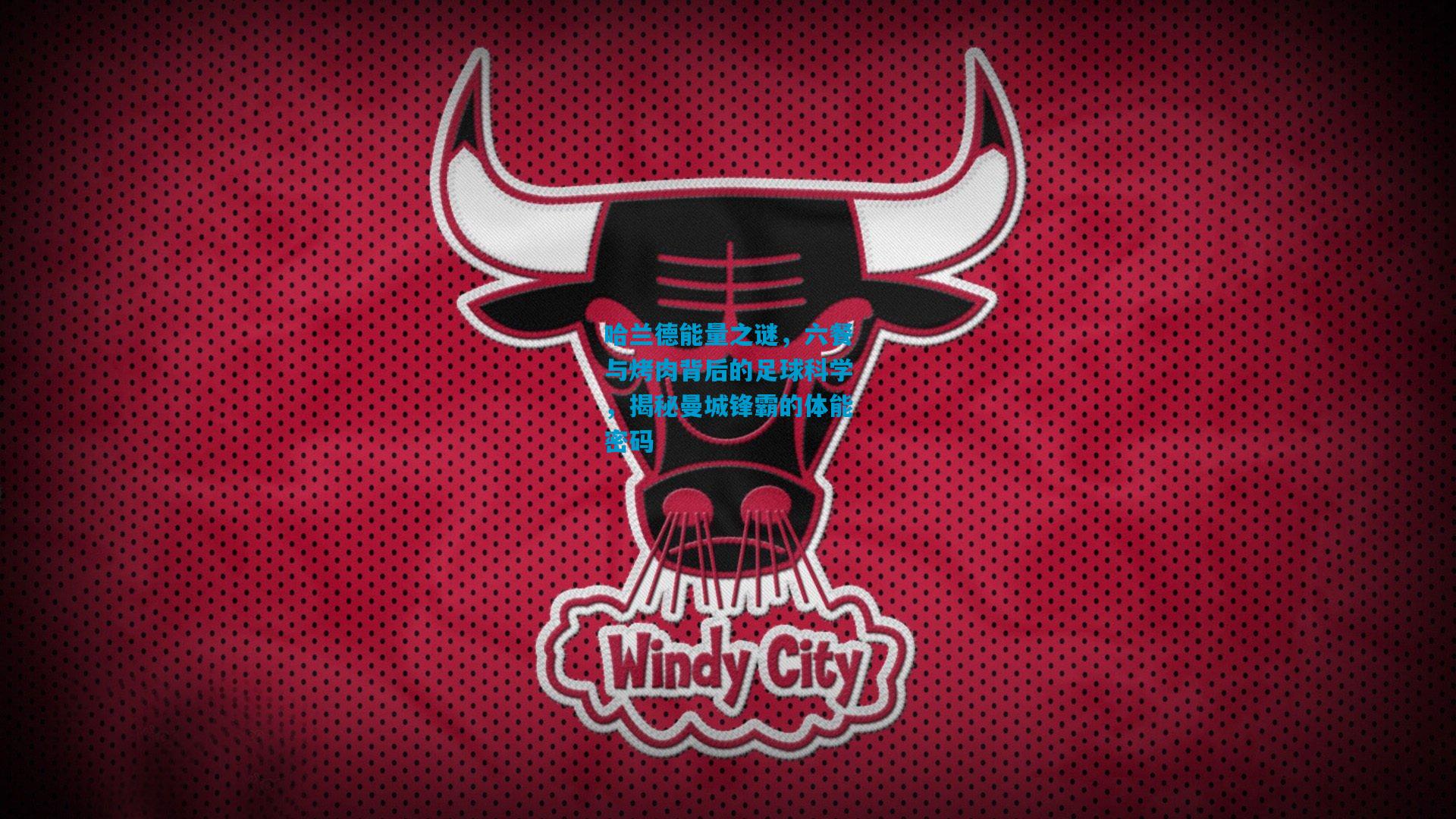 哈兰德能量之谜，六餐与烤肉背后的足球科学，揭秘曼城锋霸的体能密码